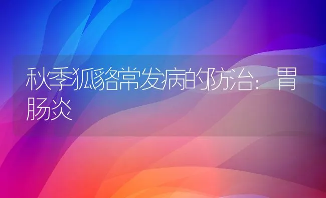 秋季狐貉常发病的防治：胃肠炎 | 水产养殖知识