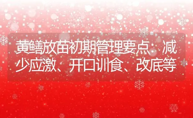 黄鳝放苗初期管理要点：减少应激、开口训食、改底等 | 动物养殖百科