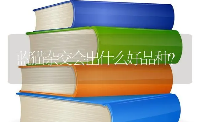 猫的生活习性和繁殖方法？ | 动物养殖问答