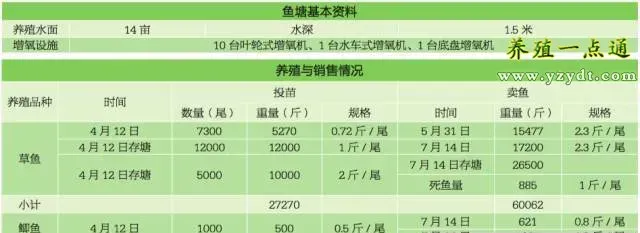 14亩草鱼塘配12台增氧机！鱼塘精细化管理最重要