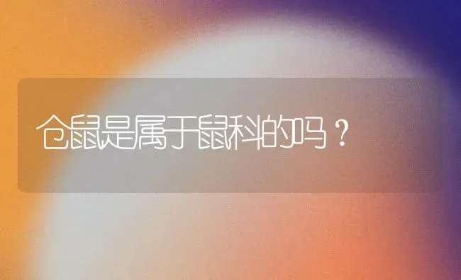 仓鼠是属于鼠科的吗？ | 动物养殖问答