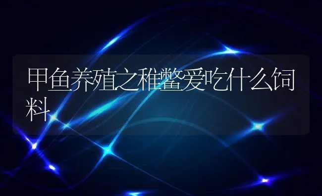 甲鱼养殖之稚鳖爱吃什么饲料 | 动物养殖学堂