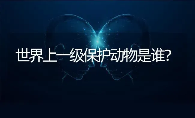 世界上一级保护动物是谁？ | 动物养殖问答