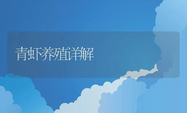 青虾养殖详解 | 动物养殖饲料