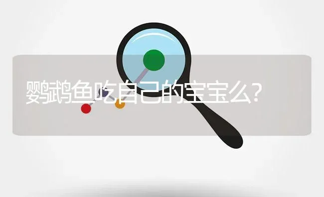 鹦鹉鱼吃自己的宝宝么？ | 鱼类宠物饲养