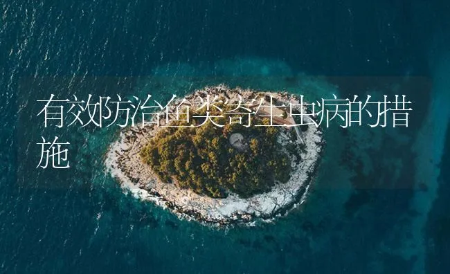 有效防治鱼类寄生虫病的措施 | 海水养殖技术