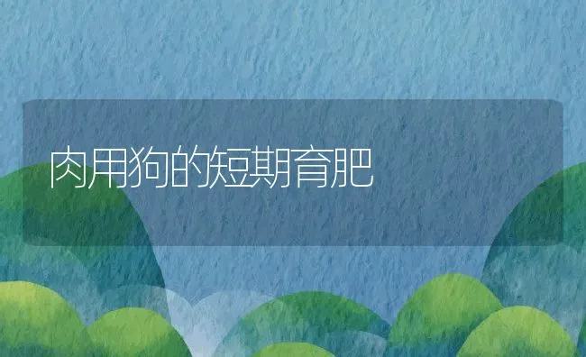 肉用狗的短期育肥 | 水产养殖知识