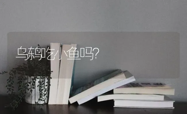 西伯利亚有北极熊吗？ | 动物养殖问答