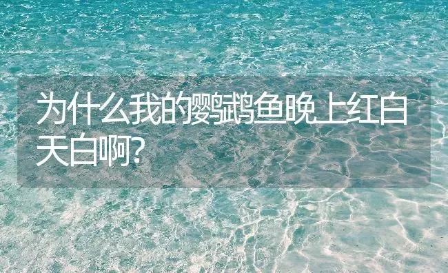 请问谁知道八哥鸟是几月份出生的，谢谢了？ | 动物养殖问答