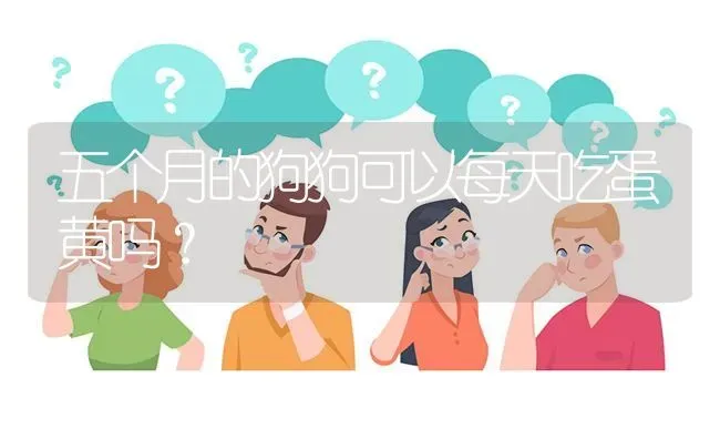 五个月的狗狗可以每天吃蛋黄吗？ | 动物养殖问答