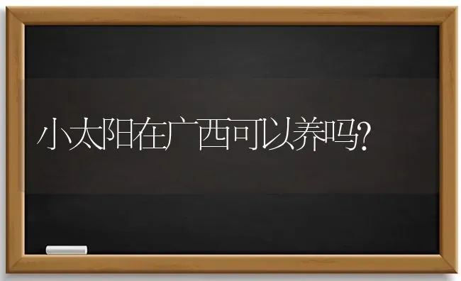 小太阳在广西可以养吗？ | 动物养殖问答