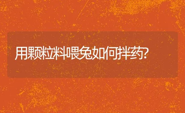 用颗粒料喂兔如何拌药? | 动物养殖学堂