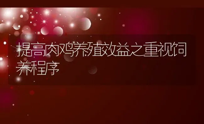 提高肉鸡养殖效益之重视饲养程序 | 动物养殖教程