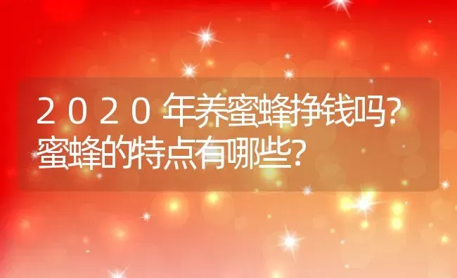 2020年养蜜蜂挣钱吗？蜜蜂的特点有哪些？ | 动物养殖百科