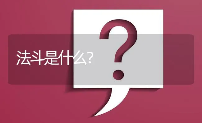 法斗是什么？ | 动物养殖问答