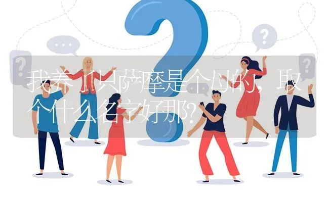 我养了只萨摩是个母的，取个什么名字好那？ | 动物养殖问答