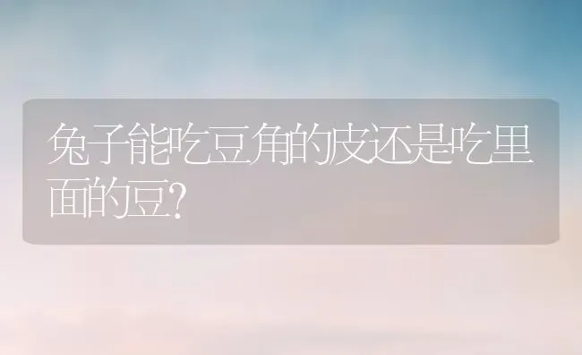 兔子能吃豆角的皮还是吃里面的豆？ | 动物养殖问答