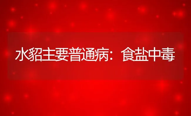 水貂主要普通病：食盐中毒 | 水产养殖知识