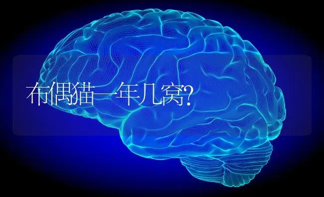 养拉布拉多血泪史？ | 动物养殖问答