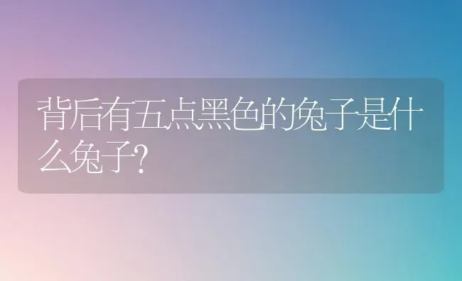 背后有五点黑色的兔子是什么兔子？ | 动物养殖问答