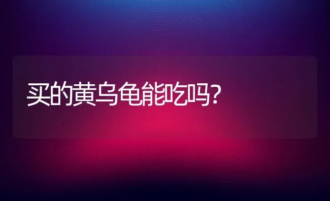 买的黄乌龟能吃吗？ | 动物养殖问答