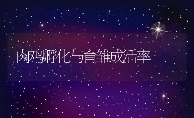 蜜蜂管理一年之计在于秋 | 动物养殖学堂