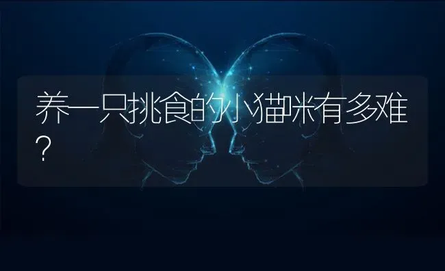 边牧体型大小有几种？ | 动物养殖问答