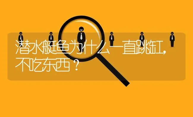 潜水艇鱼为什么一直跳缸，不吃东西？ | 鱼类宠物饲养