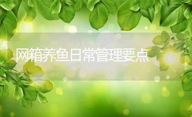 网箱养鱼日常管理要点 | 动物养殖百科