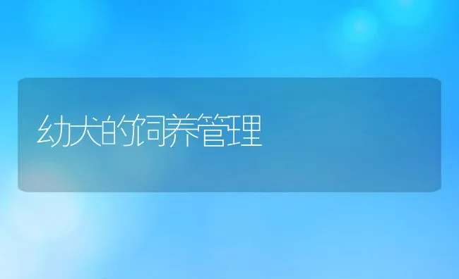 生鱼几种病害防治方法 | 海水养殖技术