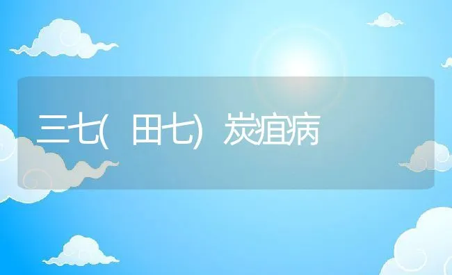 肉鸽四同步饲养技术 | 水产养殖知识