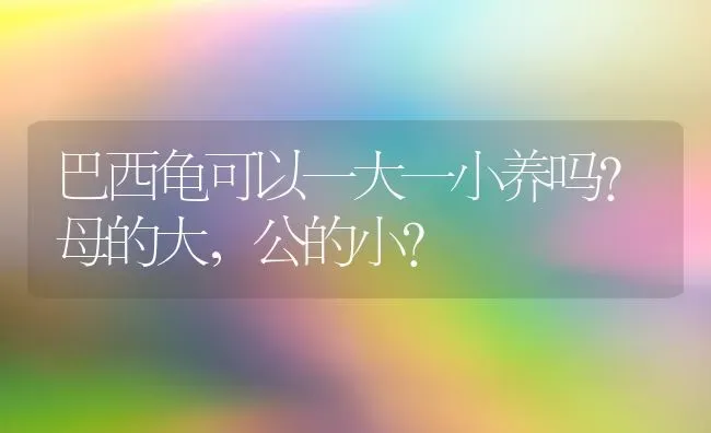 巴西龟可以一大一小养吗？母的大，公的小？ | 动物养殖问答