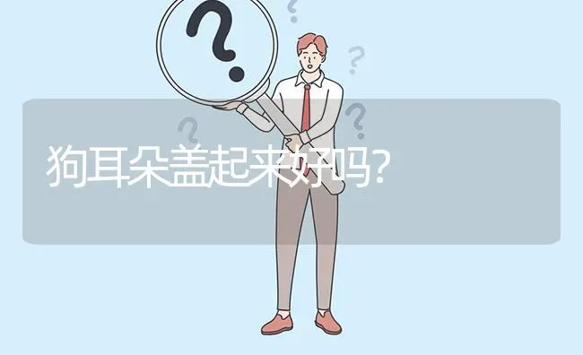 狗耳朵盖起来好吗？ | 动物养殖问答