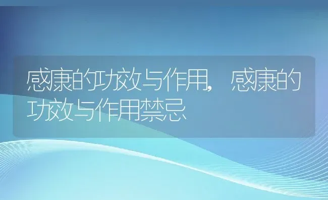 感康的功效与作用,感康的功效与作用禁忌 | 宠物百科知识