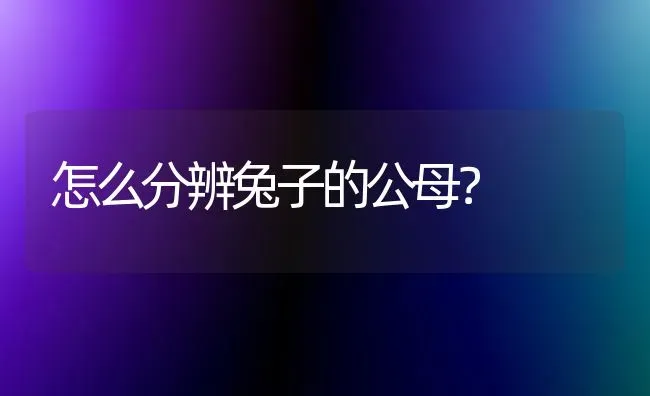 怎么分辨兔子的公母？ | 动物养殖问答