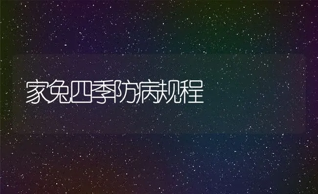 家兔四季防病规程 | 动物养殖学堂