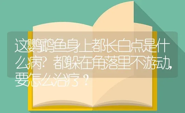 这鹦鹉鱼身上都长白点是什么病?都躲在角落里不游动，要怎么治疗？ | 鱼类宠物饲养