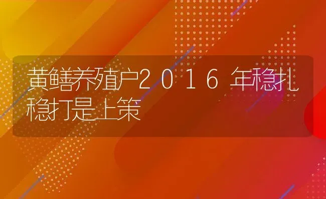 黄鳝养殖户2016年稳扎稳打是上策 | 动物养殖百科