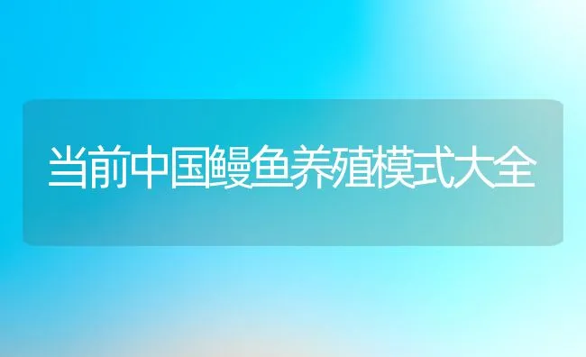 当前中国鳗鱼养殖模式大全 | 动物养殖饲料