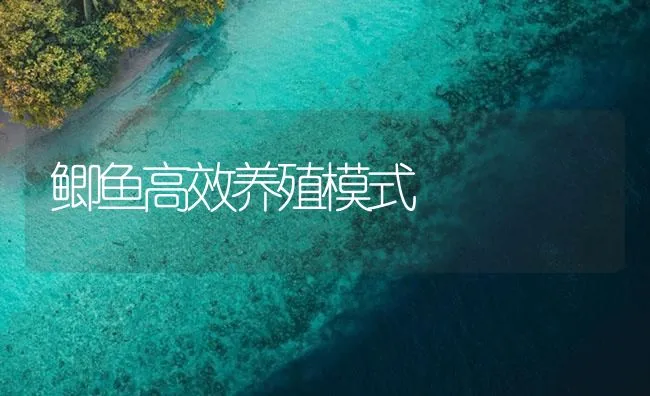 鲫鱼高效养殖模式 | 海水养殖技术