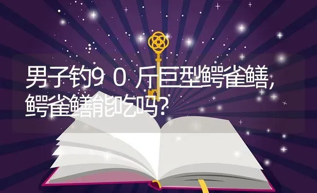 男子钓90斤巨型鳄雀鳝，鳄雀鳝能吃吗？ | 鱼类宠物饲养