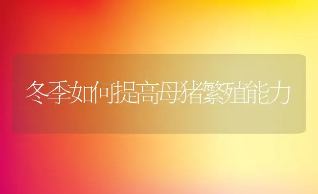 冬季如何提高母猪繁殖能力 | 动物养殖学堂