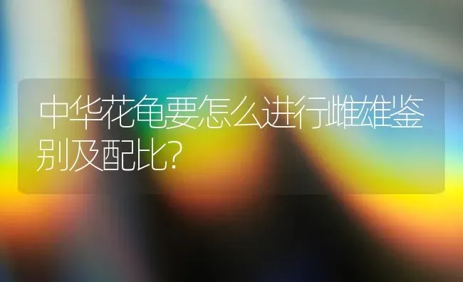 中华花龟要怎么进行雌雄鉴别及配比？ | 动物养殖问答