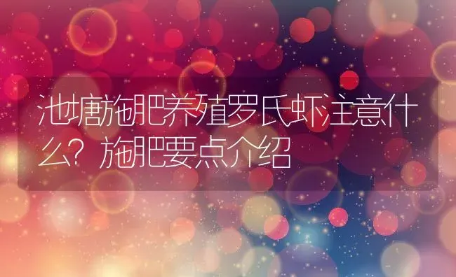 池塘施肥养殖罗氏虾注意什么？施肥要点介绍 | 动物养殖百科