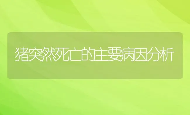 猪突然死亡的主要病因分析 | 动物养殖学堂