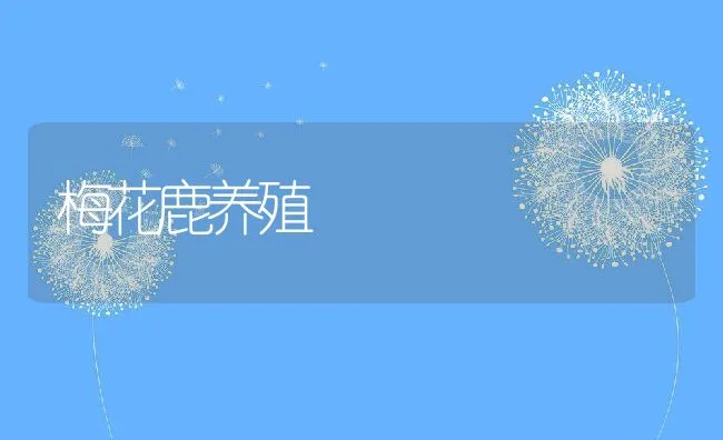 梅花鹿养殖 | 水产养殖知识