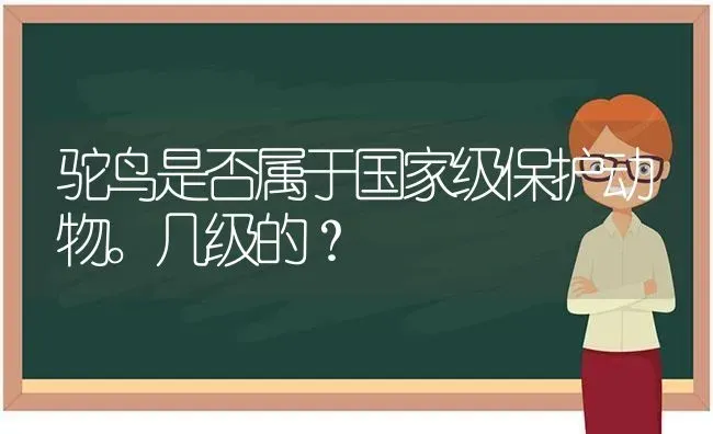 驼鸟是否属于国家级保护动物。几级的？ | 动物养殖问答