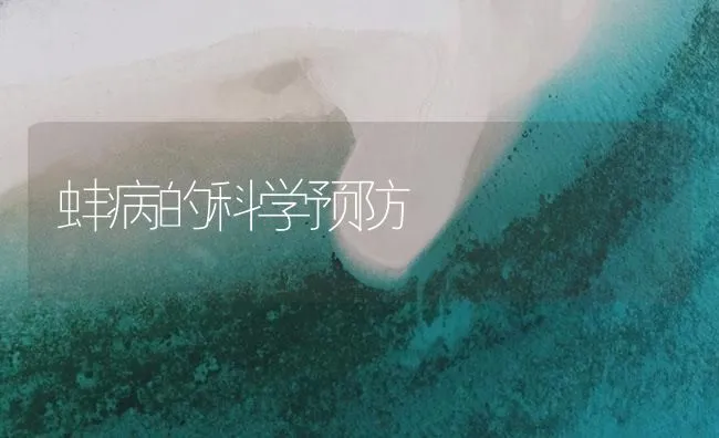 蚌病的科学预防 | 海水养殖技术