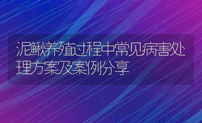 泥鳅养殖过程中常见病害处理方案及案例分享 | 动物养殖百科