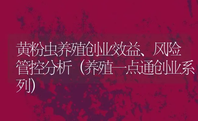 黄粉虫养殖创业效益、风险管控分析（养殖一点通创业系列） | 动物养殖百科